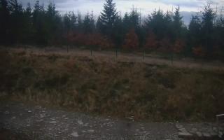 TMR - Zbójnicka Kopa #2 - 02-11-2025 15:43