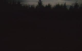 TMR - Zbójnicka Kopa #2 - 02-11-2025 15:54