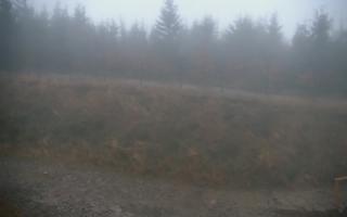 TMR - Zbójnicka Kopa #2 - 03-11-2025 05:15