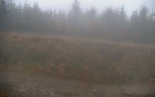 TMR - Zbójnicka Kopa #2 - 03-11-2025 05:37