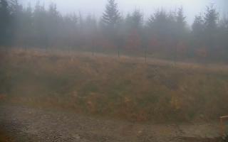 TMR - Zbójnicka Kopa #2 - 03-11-2025 05:59