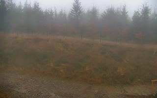 TMR - Zbójnicka Kopa #2 - 03-11-2025 06:10