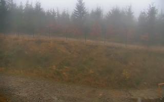 TMR - Zbójnicka Kopa #2 - 03-11-2025 06:22