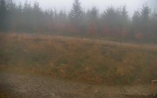 TMR - Zbójnicka Kopa #2 - 03-11-2025 06:33