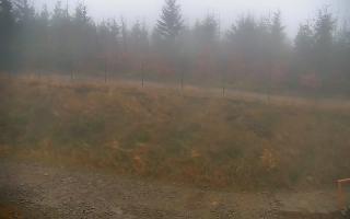 TMR - Zbójnicka Kopa #2 - 03-11-2025 06:44