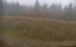 TMR - Zbójnicka Kopa #2 - 03-11-2025 06:55