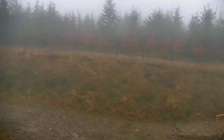 TMR - Zbójnicka Kopa #2 - 03-11-2025 07:06