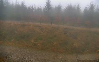 TMR - Zbójnicka Kopa #2 - 03-11-2025 07:17