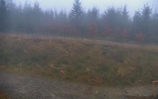 TMR - Zbójnicka Kopa #2 - 03-11-2025 07:28