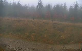 TMR - Zbójnicka Kopa #2 - 03-11-2025 07:39