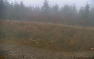 TMR - Zbójnicka Kopa #2 - 03-11-2025 07:51