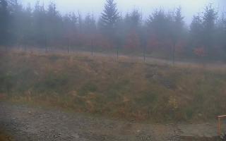 TMR - Zbójnicka Kopa #2 - 03-11-2025 11:55