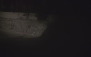 TMR - Zbójnicka Kopa #2 - 01-01-2026 02:00