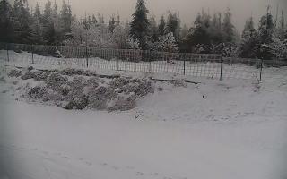 TMR - Zbójnicka Kopa #2 - 31-01-2026 06:10