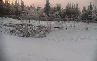 TMR - Zbójnicka Kopa #2 - 31-01-2026 06:22