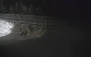 TMR - Zbójnicka Kopa #2 - 02-02-2026 04:35