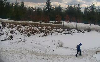 TMR - Zbójnicka Kopa #2 - 21-03-2026 13:14