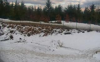 TMR - Zbójnicka Kopa #2 - 21-03-2026 14:10