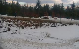 TMR - Zbójnicka Kopa #2 - 21-03-2026 14:21