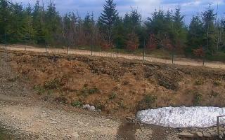 TMR - Zbójnicka Kopa #2 - 01-05-2026 13:14