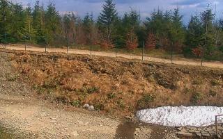 TMR - Zbójnicka Kopa #2 - 01-05-2026 14:09