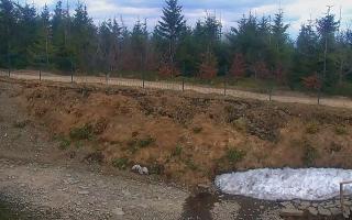 TMR - Zbójnicka Kopa #2 - 01-05-2026 14:42