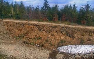 TMR - Zbójnicka Kopa #2 - 01-05-2026 15:05