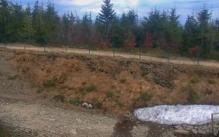 TMR - Zbójnicka Kopa #2 - 01-05-2026 15:27
