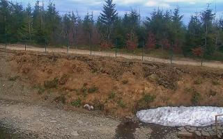 TMR - Zbójnicka Kopa #2 - 01-05-2026 15:49