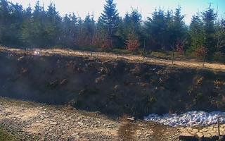 TMR - Zbójnicka Kopa #2 - 03-05-2026 06:11