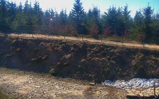 TMR - Zbójnicka Kopa #2 - 03-05-2026 07:40