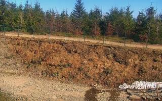 TMR - Zbójnicka Kopa #2 - 03-05-2026 15:05