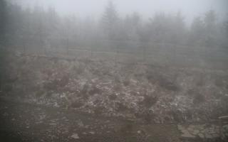 TMR - Zbójnicka Kopa #2 - 13-05-2026 02:34