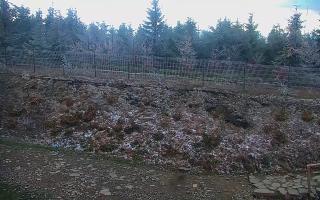 TMR - Zbójnicka Kopa #2 - 13-05-2026 03:30