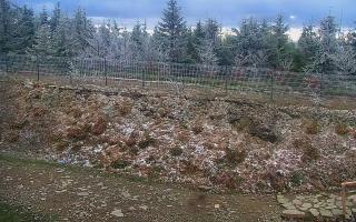 TMR - Zbójnicka Kopa #2 - 13-05-2026 03:52