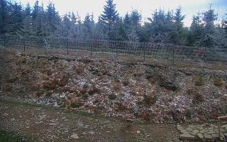 TMR - Zbójnicka Kopa #2 - 13-05-2026 04:03
