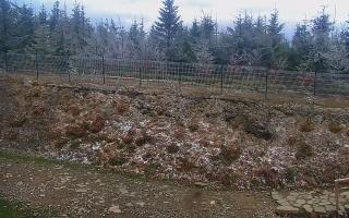 TMR - Zbójnicka Kopa #2 - 13-05-2026 05:54