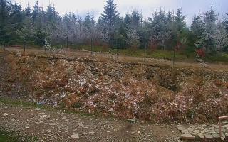 TMR - Zbójnicka Kopa #2 - 13-05-2026 07:23