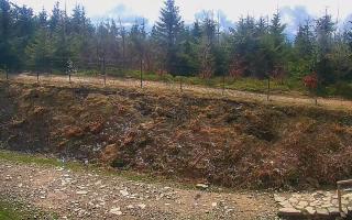 TMR - Zbójnicka Kopa #2 - 13-05-2026 07:57