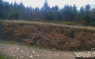 TMR - Zbójnicka Kopa #2 - 13-05-2026 08:08