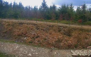 TMR - Zbójnicka Kopa #2 - 13-05-2026 08:19