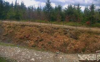TMR - Zbójnicka Kopa #2 - 13-05-2026 08:52