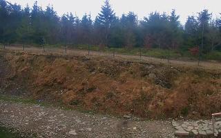 TMR - Zbójnicka Kopa #2 - 13-05-2026 09:14