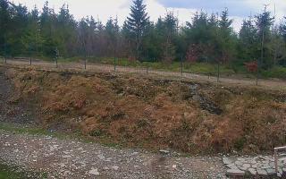 TMR - Zbójnicka Kopa #2 - 13-05-2026 09:26