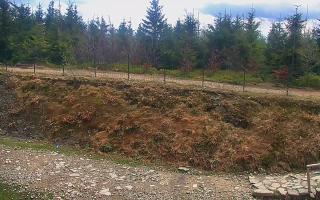 TMR - Zbójnicka Kopa #2 - 13-05-2026 09:59