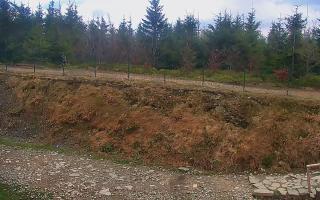 TMR - Zbójnicka Kopa #2 - 13-05-2026 10:21