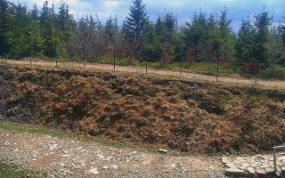 TMR - Zbójnicka Kopa #2 - 13-05-2026 10:43