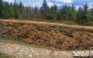 TMR - Zbójnicka Kopa #2 - 13-05-2026 11:17