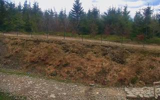 TMR - Zbójnicka Kopa #2 - 13-05-2026 11:50