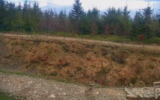 TMR - Zbójnicka Kopa #2 - 13-05-2026 12:46